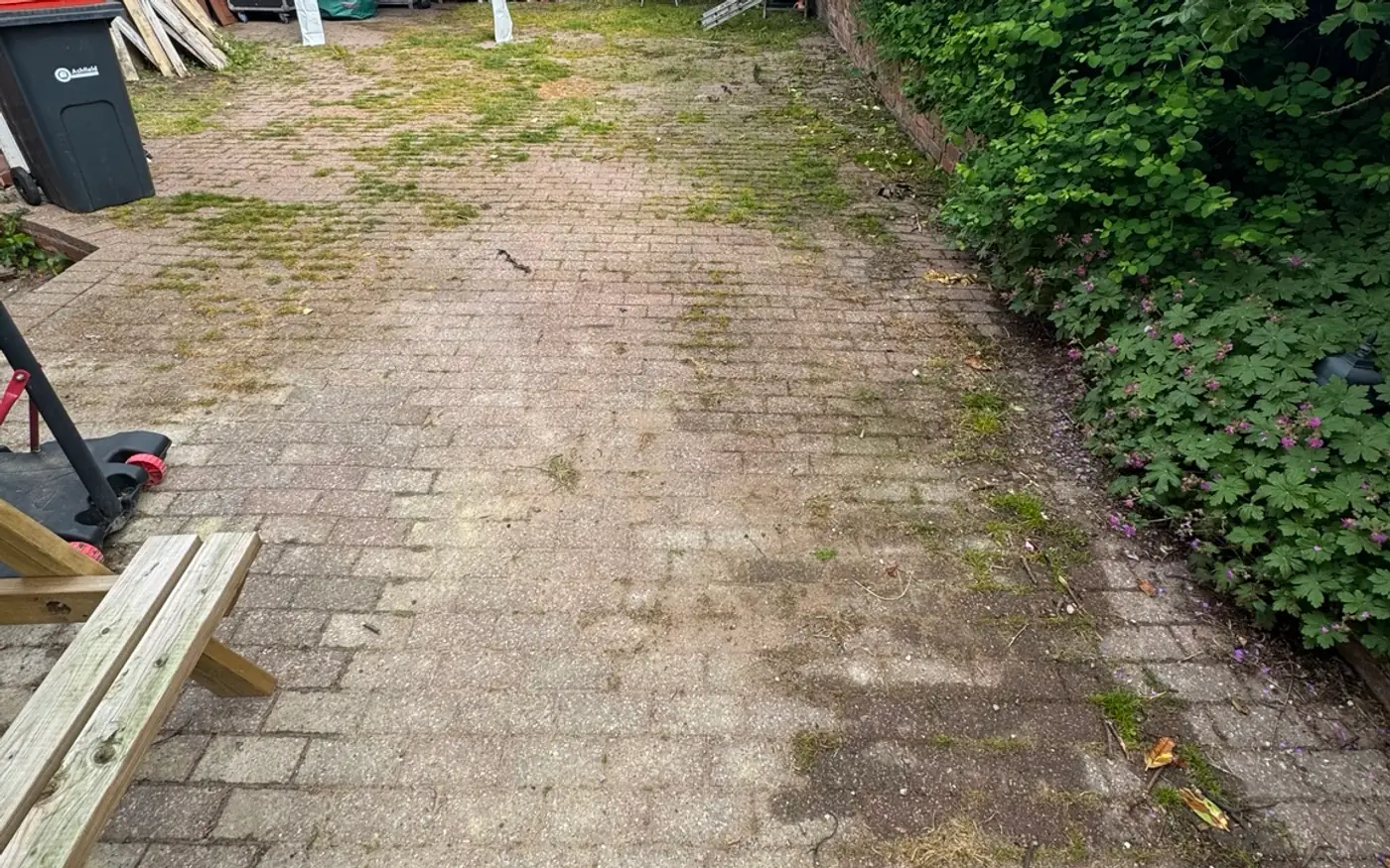 Block paved garden path in Nottingham covered in moss and green algae before cleaning