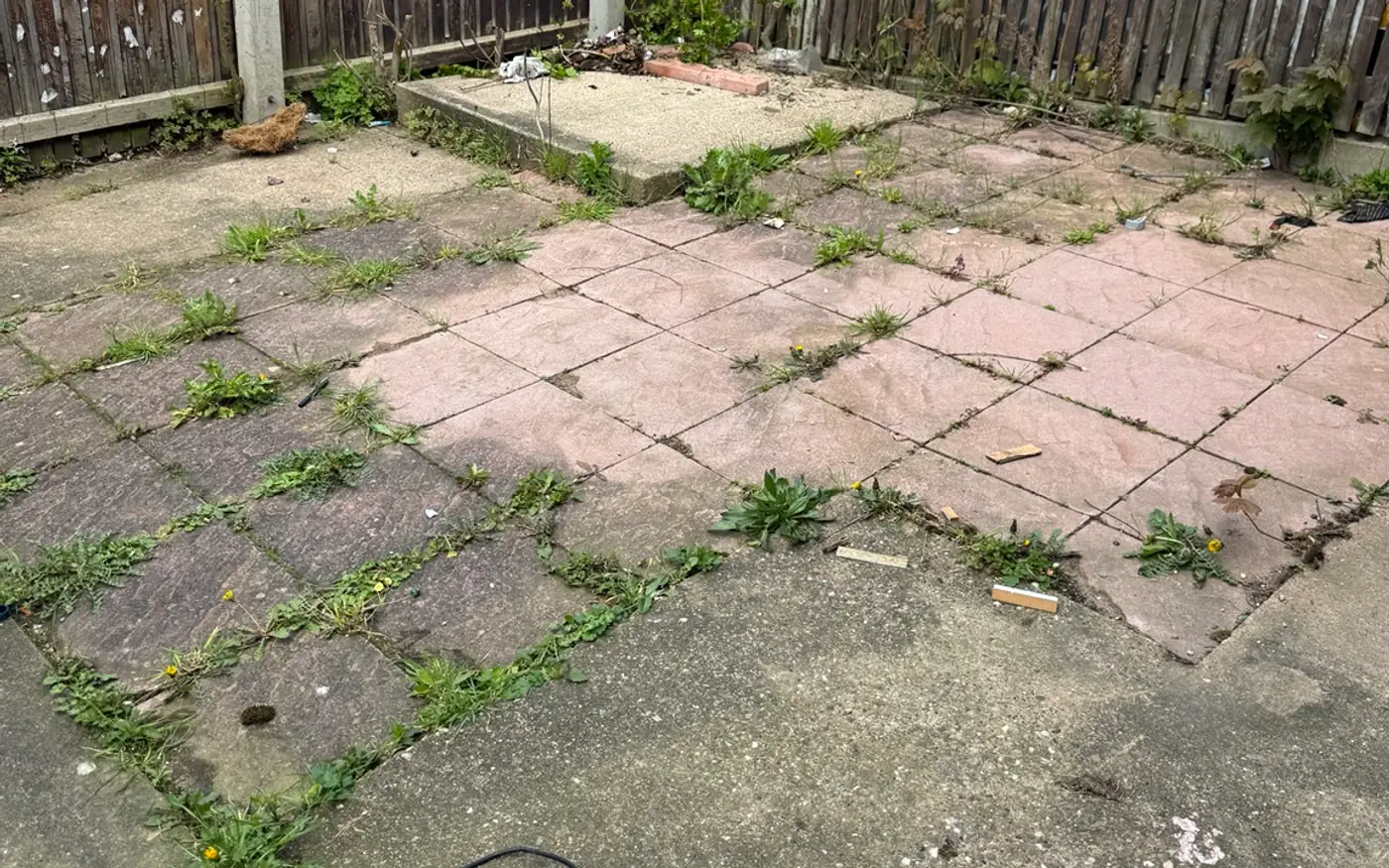 Rear patio slabs in Nottingham overgrown with weeds and moss before soft washing